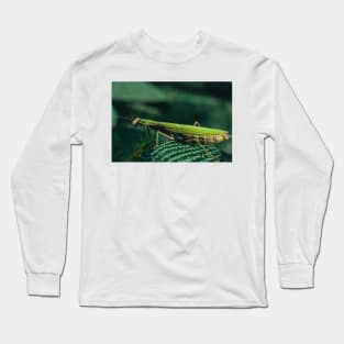 Mantis Long Sleeve T-Shirt